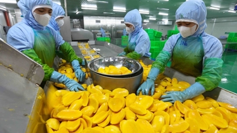 Rau quả Việt tăng tốc, tiến tới mục tiêu 10 tỷ USD