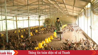 Ứng dụng công nghệ cao xây dựng chuỗi giá trị trong chăn nuôi