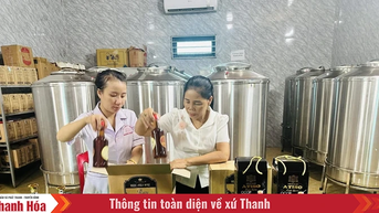Xây dựng Hải Lĩnh thành phường văn minh, giàu đẹp