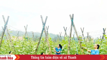 Phụ nữ xã Hà Long giúp hội viên giảm nghèo