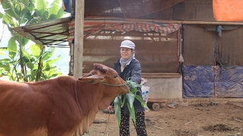 Thái Nguyên: Huy động, sử dụng hiệu quả nguồn lực đầu tư cho giảm nghèo, ưu tiên hạ tầng kinh tế - xã hội tại các xã đặc biệt khó khăn