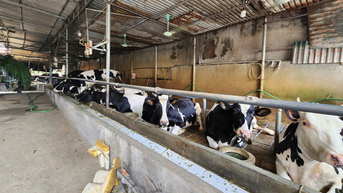 Ngành nông nghiệp khẳng định là trụ cột quan trọng trong phát triển kinh tế