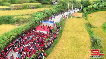 Giải chạy "Mùa vàng giữa mây ngàn bản Ít"