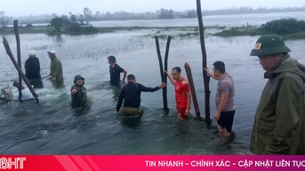 Gia cố nhanh bờ bao moong mỏ dự án mỏ sắt Thạch Khê bị sạt lở