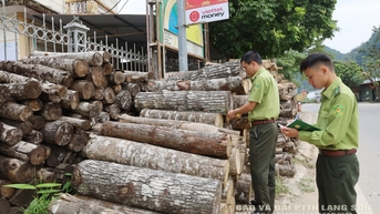 Lạng Sơn: Nan giải bài toán giữ rừng tự nhiên