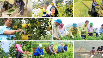 Lào Cai: Quỹ Hỗ trợ nông dân giúp người dân thoát nghèo