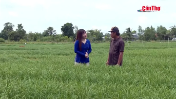 Đậm đà “Bản sắc Cần Thơ”