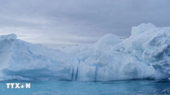 Khoảng 60% các thềm băng lớn của Nam Cực có thể bị mất ổn định vào năm 2300