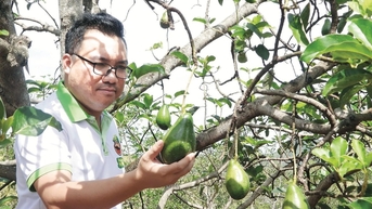 Đồng Nai đẩy mạnh Chương trình Mỗi xã một sản phẩm (OCOP) Điểm nhấn trong phát triển kinh tế nông thôn