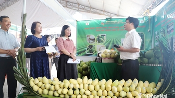 Quảng bá trái cây đặc sản Đồng Nai