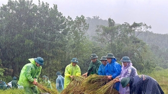 Vì nhau, san sớt nhọc nhằn