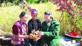 Cây lúa rẫy và lễ Piếc xa rò của người Vân Kiều