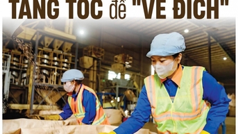 Doanh nghiệp tăng tốc để "về đích"