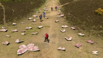 Những cung đường nghệ thuật đẹp nhất nước Anh trong mùa Thu này