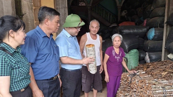 Chấn Thịnh đẩy mạnh phát triển nông nghiệp hàng hóa bền vững