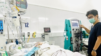 Nhiều trường hợp nhập viện vì rắn cắn