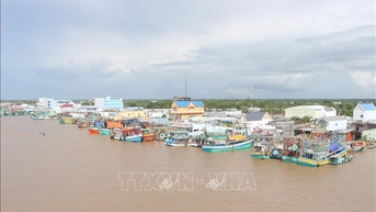 Khắc phục 'thẻ vàng' IUU: Cà Mau ưu tiên xử lý dứt điểm các trường hợp vi phạm