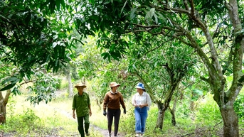 Nguồn vốn nghìn tỷ tiếp sức người dân Lâm Đồng vươn lên thoát nghèo