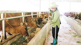 Đa dạng hóa mô hình giảm nghèo