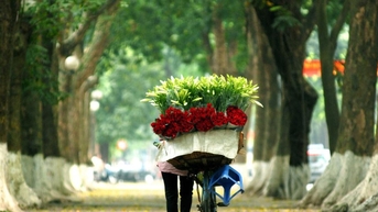 Hà Nội tháng 12: Cẩm nang trải nghiệm mùa đông đặc trưng