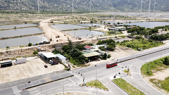 Đường nối Quốc lộ 1 với Cảng biển tổng hợp Cà Ná: Cần đẩy nhanh tiến độ thi công