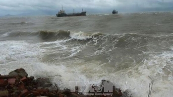 Các tỉnh, thành phố từ Thanh Hóa đến An Giang chủ động ứng phó bão KALMAEGI