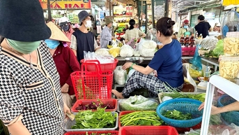 Rau xanh tăng giá vì vùng trồng ngập úng