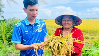 Bước tiến dài cho gạo BL9