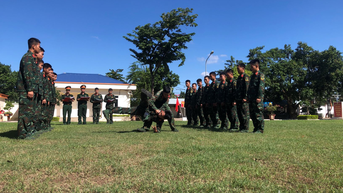 Huấn luyện thể lực giỏi ở Tiểu đoàn Trinh sát