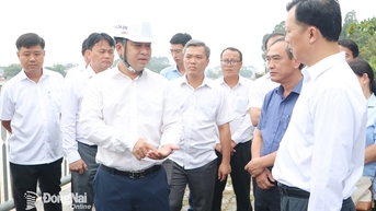 Gấp rút thông mặt bằng xây đường ven sông Cái