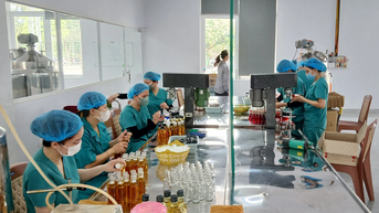 Khi đảng viên tiên phong phát triển kinh tế