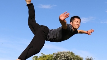 Những chiêu thức kung fu trứ danh nhưng vô dụng trong thực chiến
