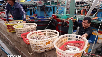 Điều tra nguồn lợi thủy sản - nền tảng cho bảo tồn và khai thác bền vững