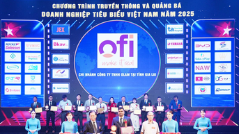 Khi hạt điều Gia Lai vươn tầm thế giới từ bàn tay nông dân Việt
