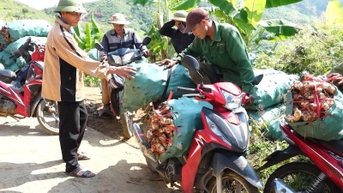 Sin Suối Hồ: Phát triển kinh tế từ nông nghiệp và du lịch cộng đồng