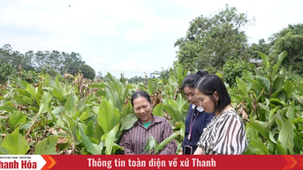 HTX góp phần nâng tầm giá trị nông sản