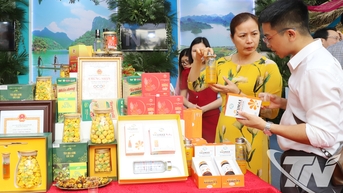 Nâng tầm sản phẩm, đưa thương hiệu vươn xa