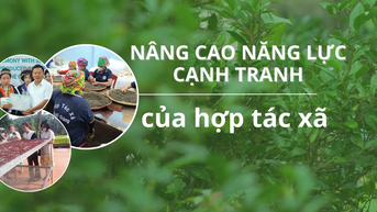 Nâng cao năng lực cạnh tranh của hợp tác xã