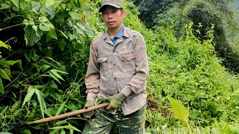 Anh bí thư giỏi việc nước, giỏi làm giàu
