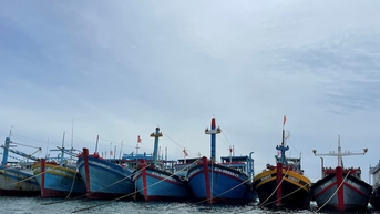 Một thuyền viên bị rơi xuống biển tử vong ở vùng biển Phú Quý