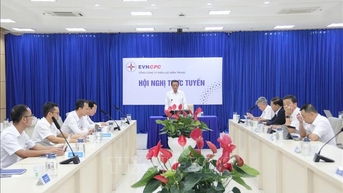 Điện lực miền Trung họp khẩn ứng phó bão số 13