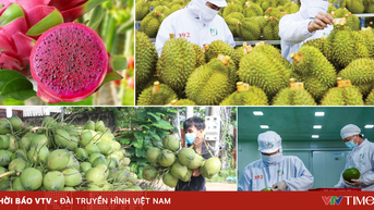 Rau quả Việt tăng tốc, tiến tới mục tiêu xuất khẩu 10 tỷ USD