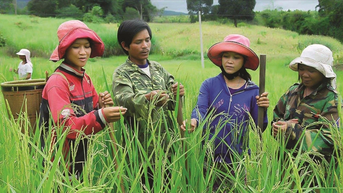 Phía sau những con số giảm nghèo