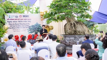 Tác phẩm bằng lăng cổ thụ của nghệ nhân Trần Văn Thọ được xác nhận kỷ lục Việt Nam