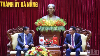 Đà Nẵng mong muốn doanh nghiệp Nhật Bản tăng cường hợp tác, đầu tư trên nhiều lĩnh vực