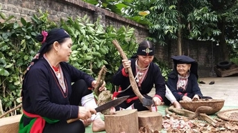 Từ lá thuốc người Dao, nghĩ về công tác dân tộc và tri thức bản địa