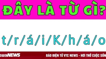 Thông minh đến mấy cũng phải chào thua câu đố vua Tiếng Việt này