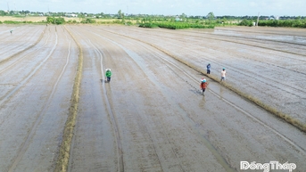 BÀI 1: Nông nghiệp khẳng định vai trò trụ đỡ