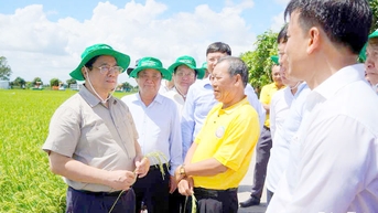 សហករណ៍សេវាកម្មកសិកម្មថាំងឡៃ៖ ឆ្ពោះទៅរកតម្លៃថ្មីក្នុងកសិកម្មទំនើប