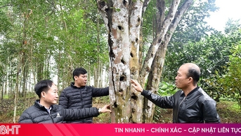 Từ “bài ca vỡ đất” đến vùng quê giàu có bậc nhất đại ngàn